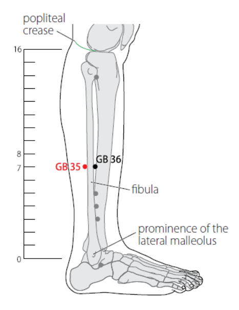 35vb-who_2009.png 35vb-who_2009.png