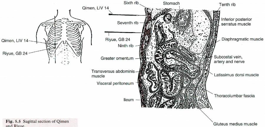 chen-159456-14f-24vb.png chen-159456-14f-24vb.png