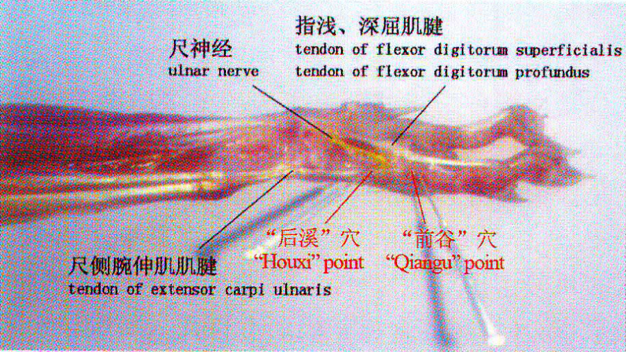 qianggu_et_houxi.png qianggu_et_houxi.png