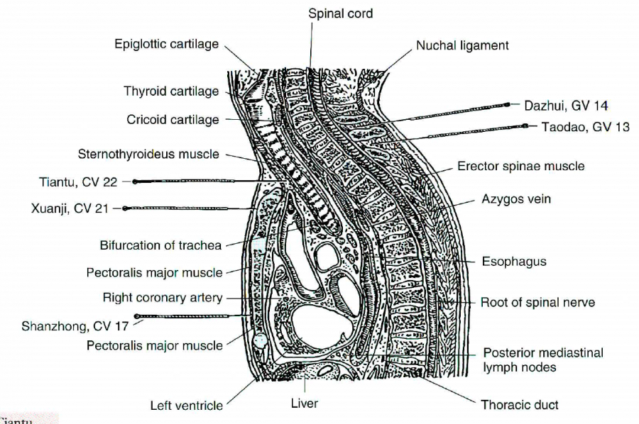 chen_1996-17_21_22vc-13_14vg.png chen_1996-17_21_22vc-13_14vg.png