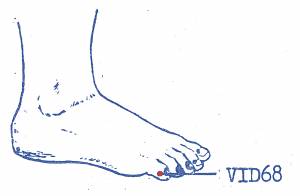 vi-d68.jpg