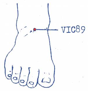 vi-c89.jpg