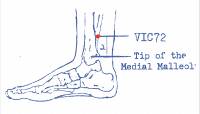 vi-c72.jpg