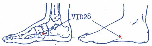 vi-d28.jpg