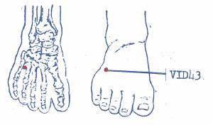 vi-d43.jpg vi-d43.jpg