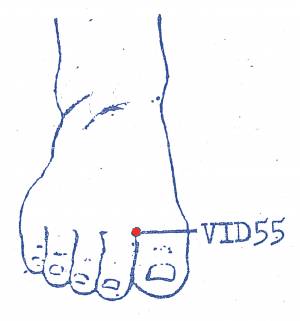 vi-d55.jpg vi-d55.jpg