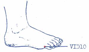 vi-d10.jpg vi-d10.jpg