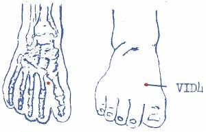 vi-d40.jpg vi-d40.jpg