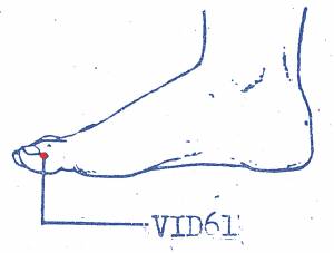 vi-d61.jpg vi-d61.jpg